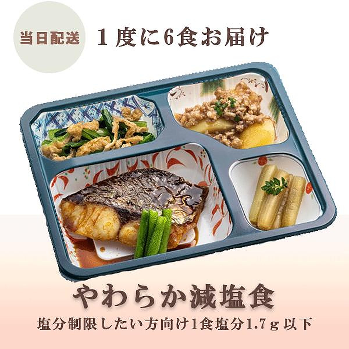 MFSやわらか減塩食 お試し6食セットの盛り付けイメージ